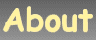 Back to Homepage