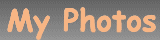 View My Photos