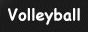 Volleyball pur, VBC Herisau, Informationen, Beachvolleyball, ... / Volleyball, Club of Herisau, 
    Information, Beachvolley, ...